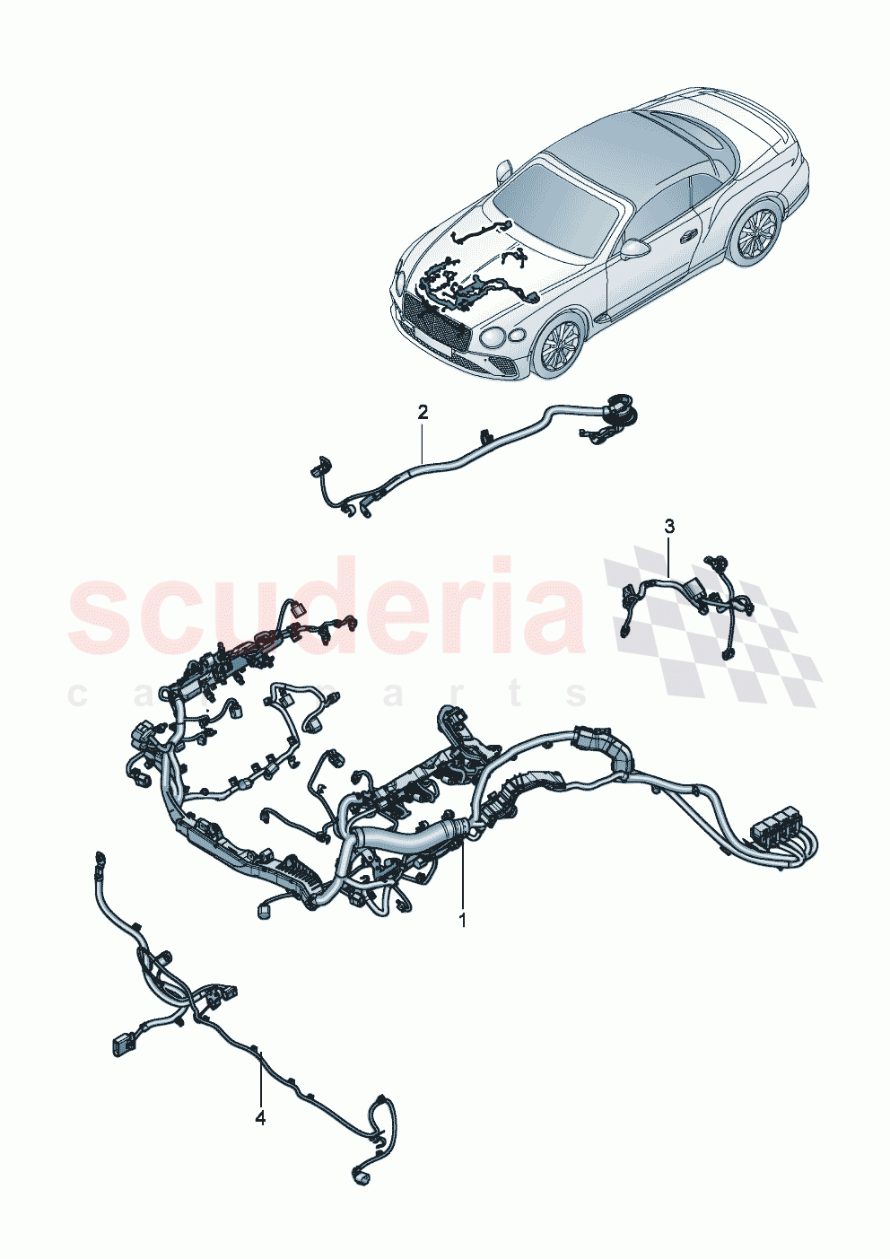 Additional wiring sets of Bentley Bentley New Continental Convertible (2019-2024)