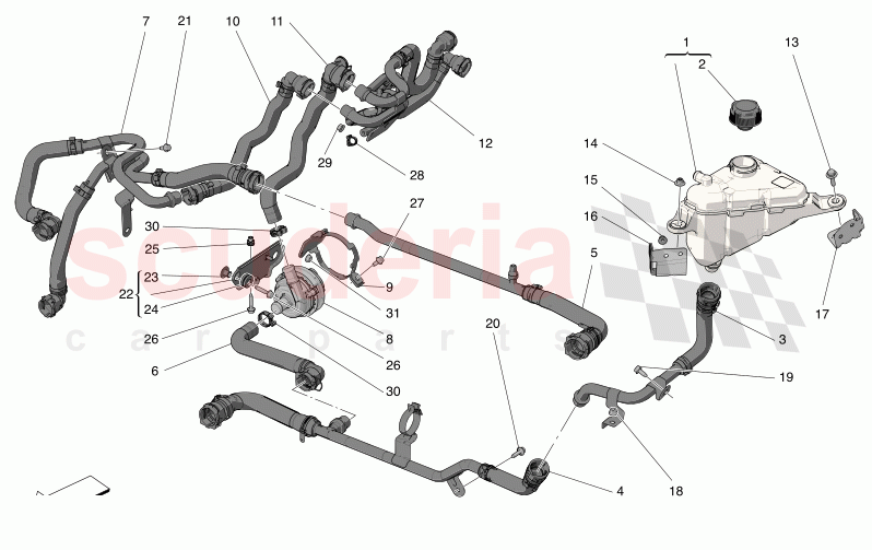 COOLING SYSTEM: NOURICE AND LINES of Maserati Maserati Grecale GT  Automatic 2.0 T4 4WD 300HP MHEV