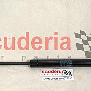 Gas Strut for 