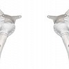 Photo of Tubi Style Test Pipes and Catalytic Converters Exhaust for the Ferrari 488 GTB/Spider - Image 2