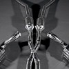 Photo of Capristo Sports Exhaust for the Ferrari California - Image 5