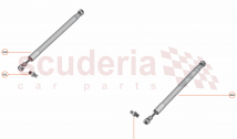 10 - CLOSURES ANCILLARIES - 10.8 - BONNET GAS STRUT