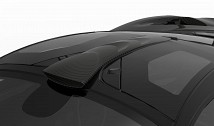 Carbon Roof Scoop