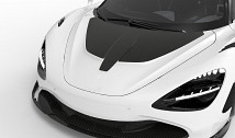 Carbon Race Hood