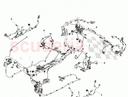 Photo of …