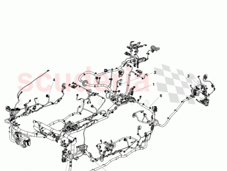 Photo of …
