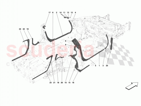 Photo of …