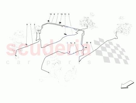Photo of LH…