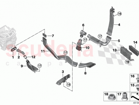 Photo of B…