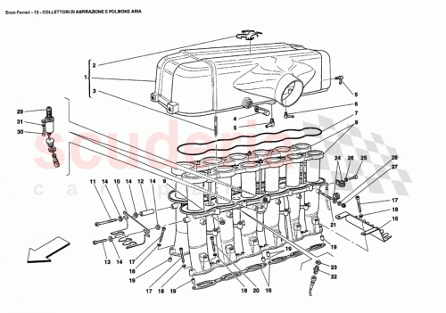 Part Diagram for Ferrari 195510
